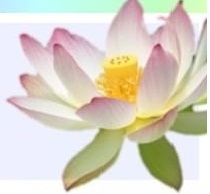 Thriving-Baby-Boomers lotus logo