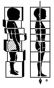 Thriving-Baby-Boomers - Alternative Health - Structural Integration image