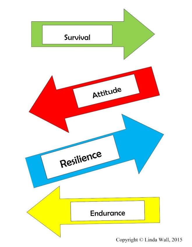 Thriving-Baby-Boomers - Resilience - Arrows in all directions: Survival; Attitude; Resilience; Endurance
