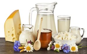 dairy_products_1 - sott dot net