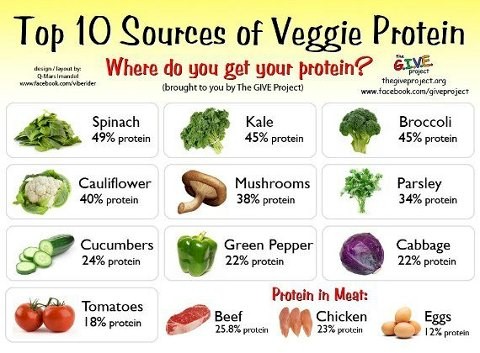 Top 10 Sources of Veggie Protein