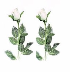 2 white roses