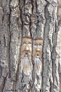 Thriving-Baby-Boomers - Walking - Old Wise Men faces carved in a tree - Rivers Trail, North Kamloops, BC