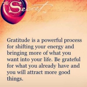 Thriving-Baby-Boomers - Gratitude - Gratitude is a powerful process...